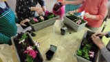 Jardinage