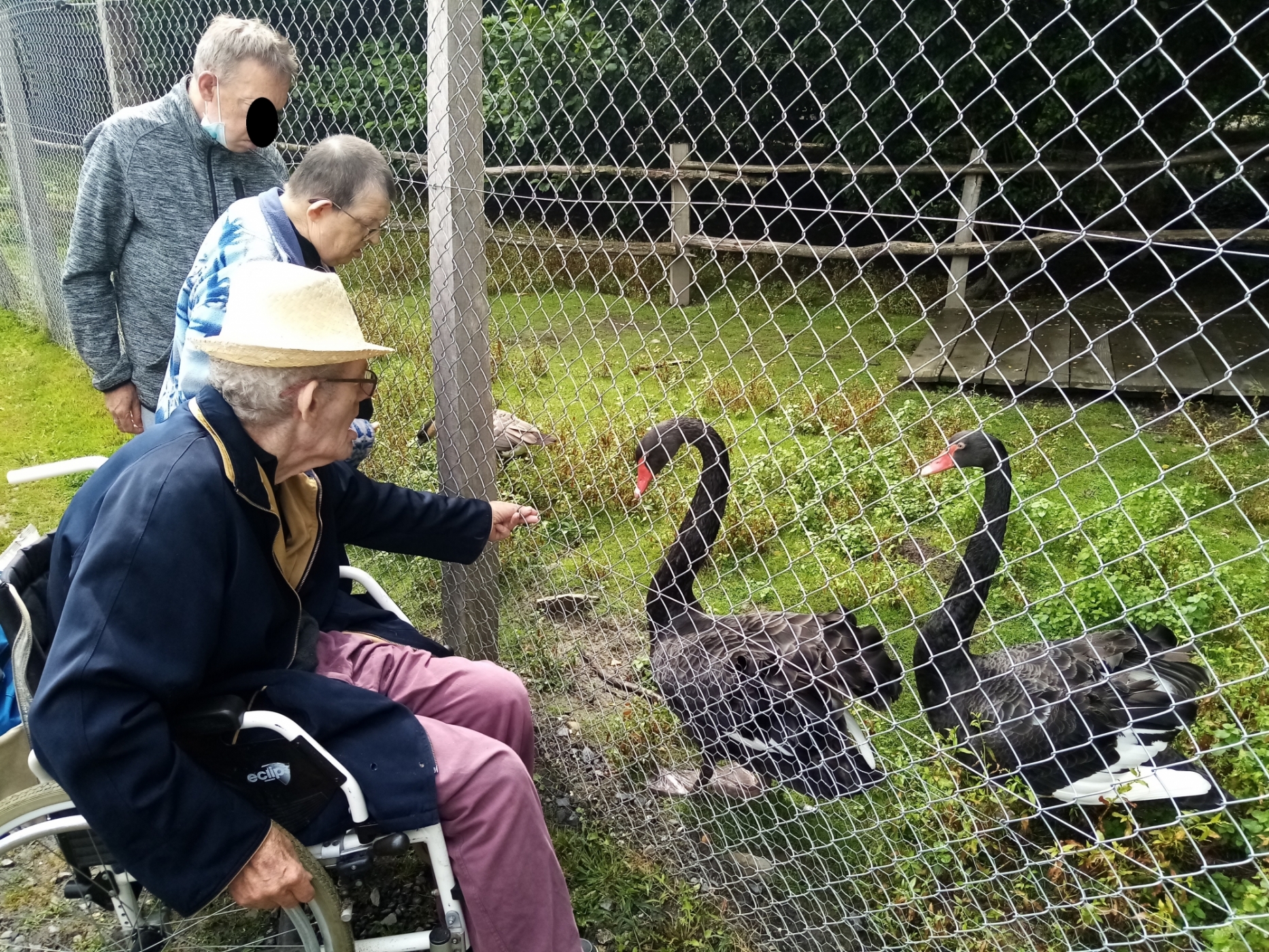 Sortie à la ferme 