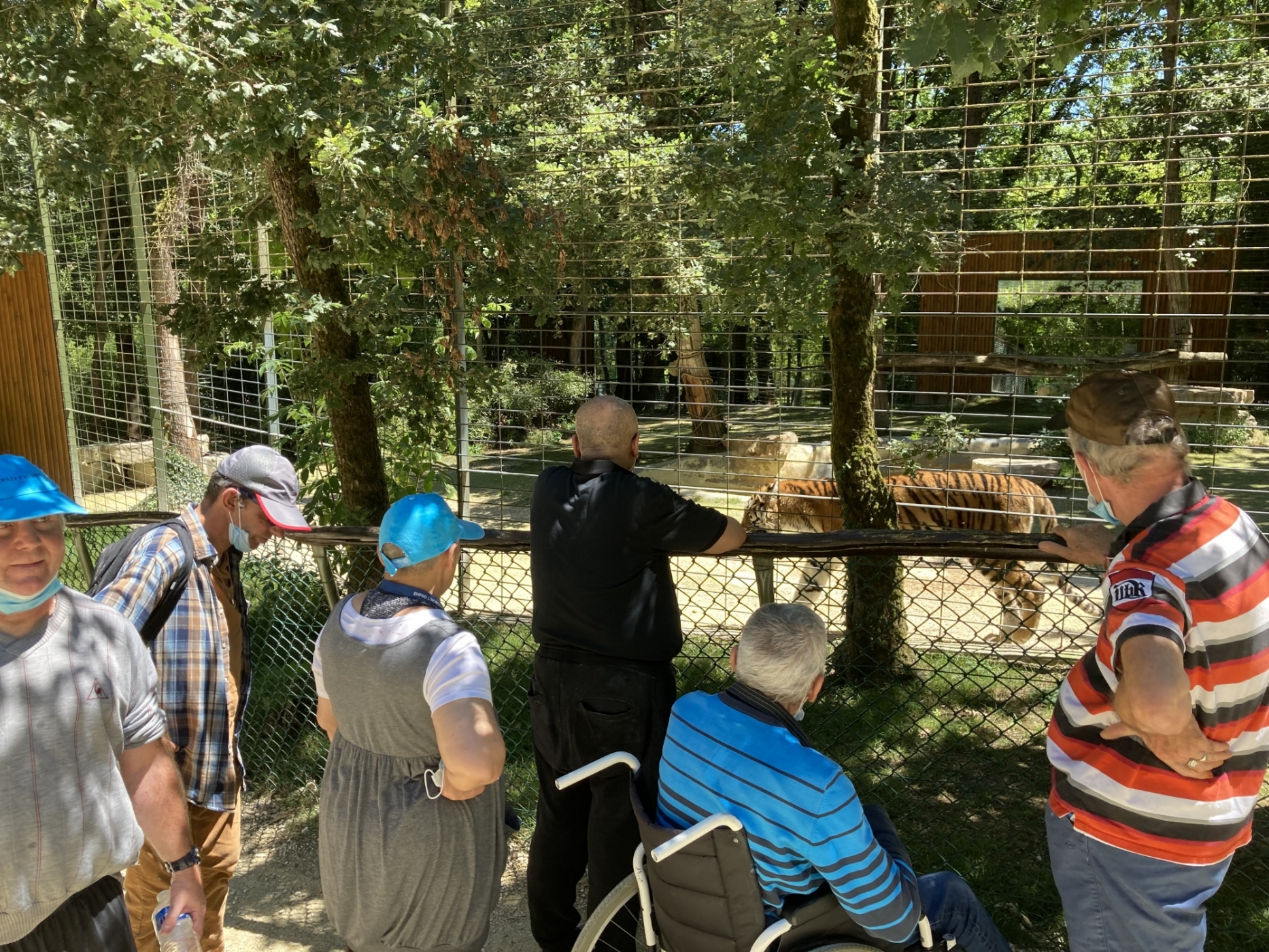 Sortie Zoo Plaisance-du-Touch 